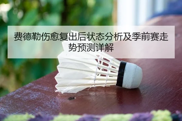 费德勒伤愈复出后状态分析及季前赛走势预测详解